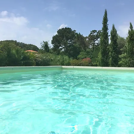 Torre 9p Ac 2 Pools 300 M From The Sea *